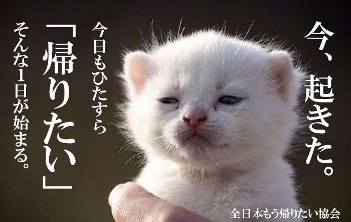 パワーステーション派遣のお仕事