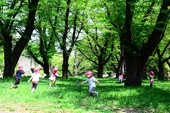 認可保育園　フルタイム勤務　東京都23区　来年度4月から開始