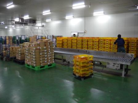 冷蔵倉庫内でのフォークリフト作業のお仕事です！

大手メーカー様冷凍食品をリーチフォークを使用して、
冷蔵倉庫内で大手スーパーマーケット向け商品の格納保管
出荷作業をしていただきます😄
 
時間帯　18:00～23:00