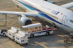 新千歳空港内　手荷物搭降載業務