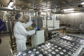 食品工場　ライン作業