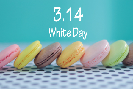 《ホワイトデー》☆4日間～OK☆ブラウニー販売