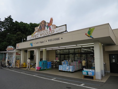 短期のペットフード販売 アパレル販売員 百貨店派遣求人の人材紹介会社 エース プロモーション