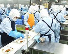 冷凍食品の検査スタッフ