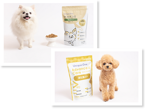 短期のドッグフード推奨販売 12/6.7