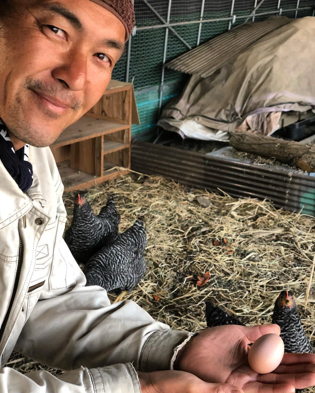 鶏舎管理、卵の選別作業