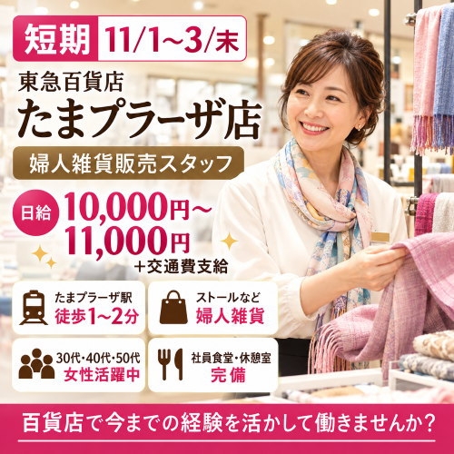 短期のストールなど婦人雑貨販売　11/1～3/末