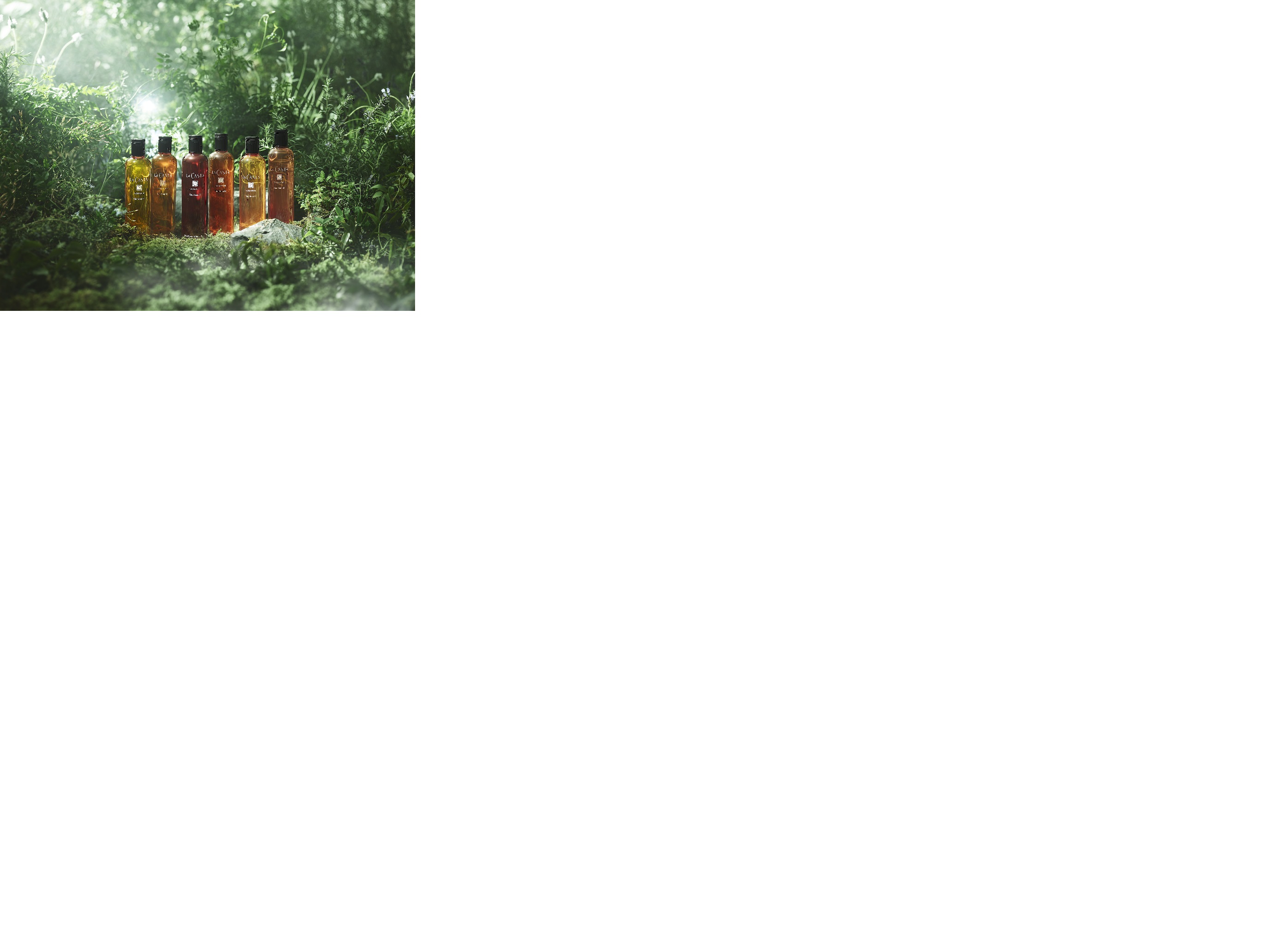 《未経験OK☆》La CASTAのナチュラルヘアケア商品販売スタッフ/新宿エリア