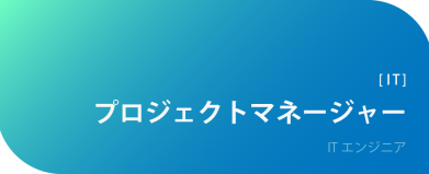 プロジェクトマネージャー