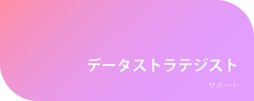 データストラテジスト/サポート