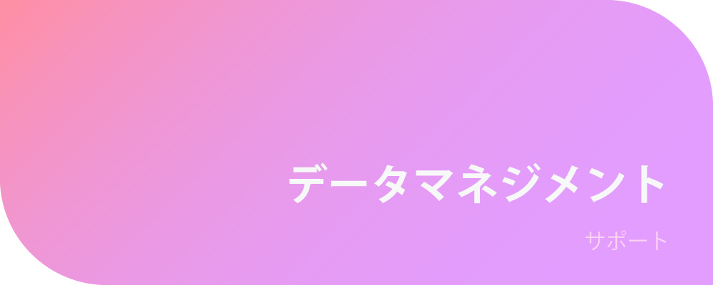 データマネジメント/サポート