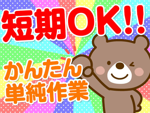 【年末までのレアなお仕事】◆未経験大歓迎　